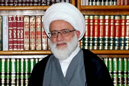 المرجع الیعقوبي: إستيعاب السيرة الحسنة للنبي(ص) مسؤولية إجتماعية على الأمة + فيديو