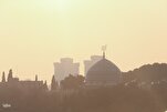 Islamic Teachings Demand Urgent Action Against Environmental Harm: Cleric