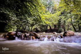 جنگل و رودخانه پلنگ دره