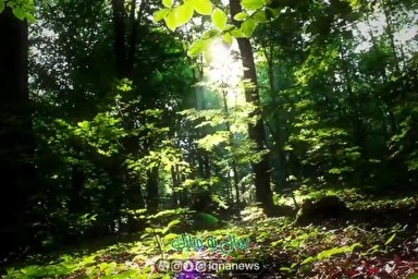 ویدئوکست | زندگی تبسم طبیعت است