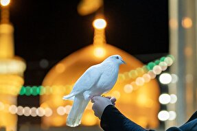 استوری‌موشن | زدودن غم مؤمن
