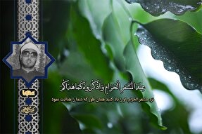 فیلم | قطعه‌ شنیدنی از تلاوت سوره بقره با صوت «محمد عمران»