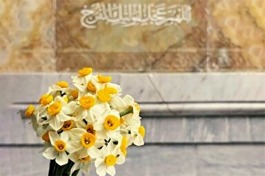 استوری موشن | امید به امام زمان(عج)