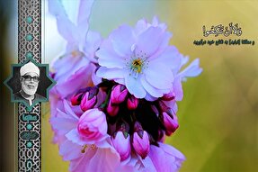 فیلم‌ | مقطعِ تلاوت «خلیل الحصری» از سوره احزاب