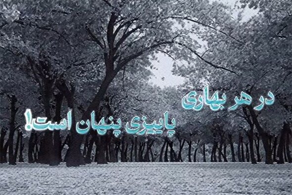 فیلم | پاییز در پسِ هر بهار