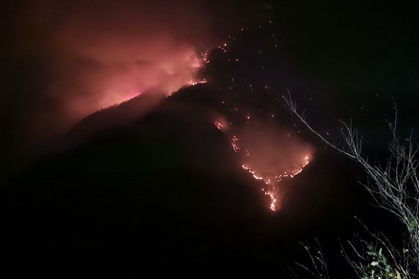 بازدید استاندار مازندران از تونل مکارود و جنگل درگیر آتش الیت