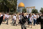 Les esplanades de la Mosquée Al-Aqsa profanées