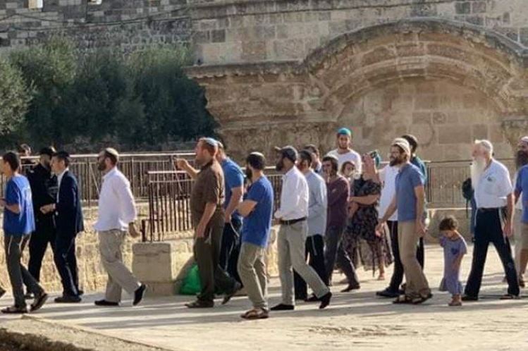 Gerusalemme, gruppi di coloni invadono al-Aqsa