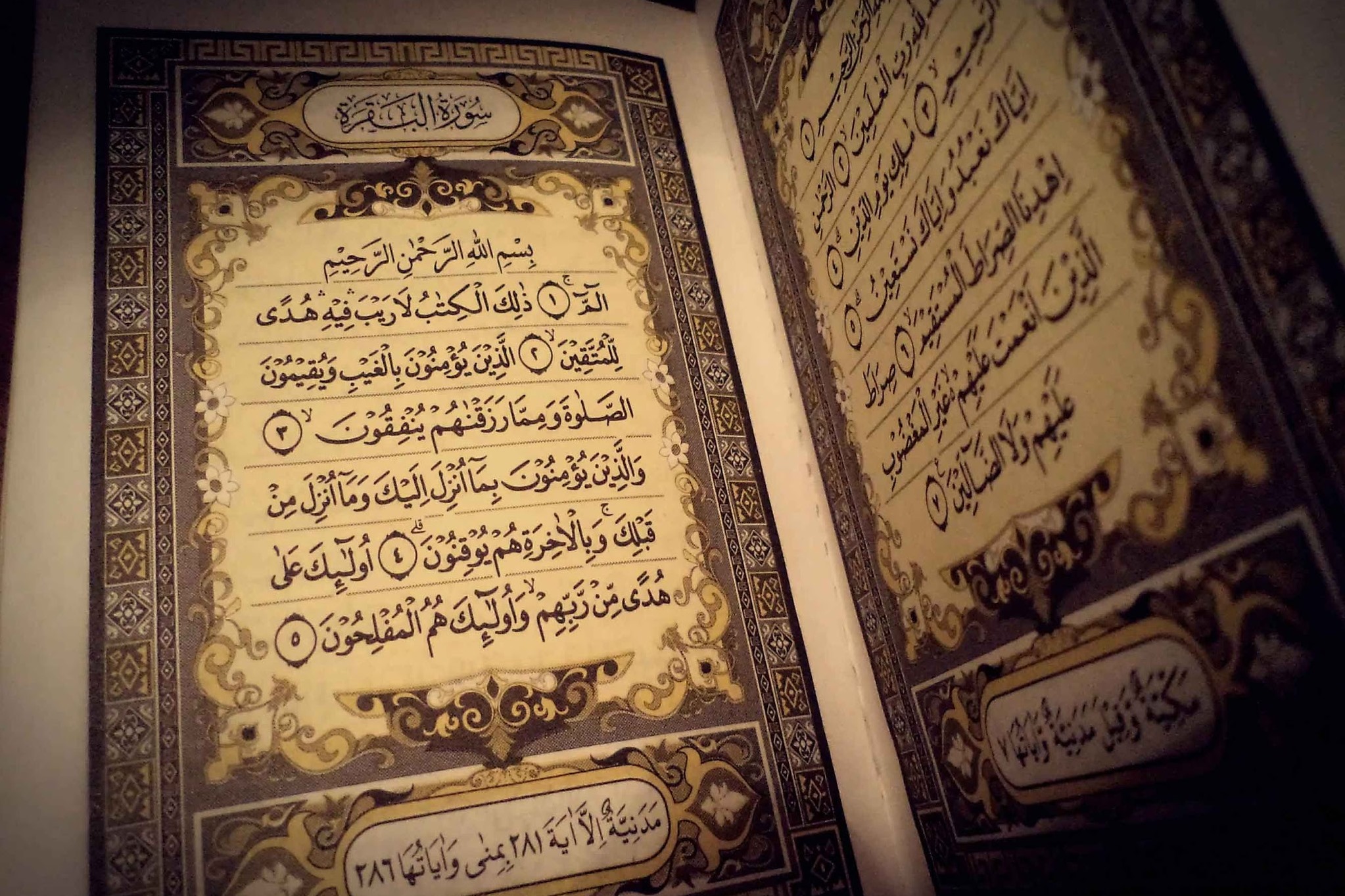 La Luce del Corano-Esegesi del Sacro Corano,vol 1 - Parte 72 - Sura Al-Bagharah - versetti 159-160
