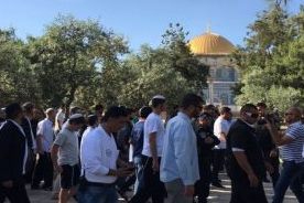 Gerusalemme, 185 coloni invadono al-Aqsa per lo Yom Kippur