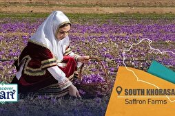 Gaenat, Güney Horasan: Dünyanın en kaliteli safranının doğduğu yer